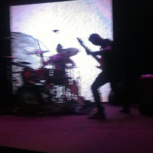 Animals as Leaders